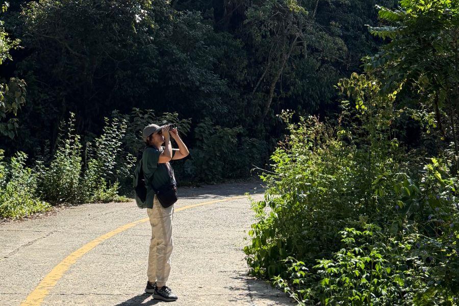wildlife viewing son tra, danang