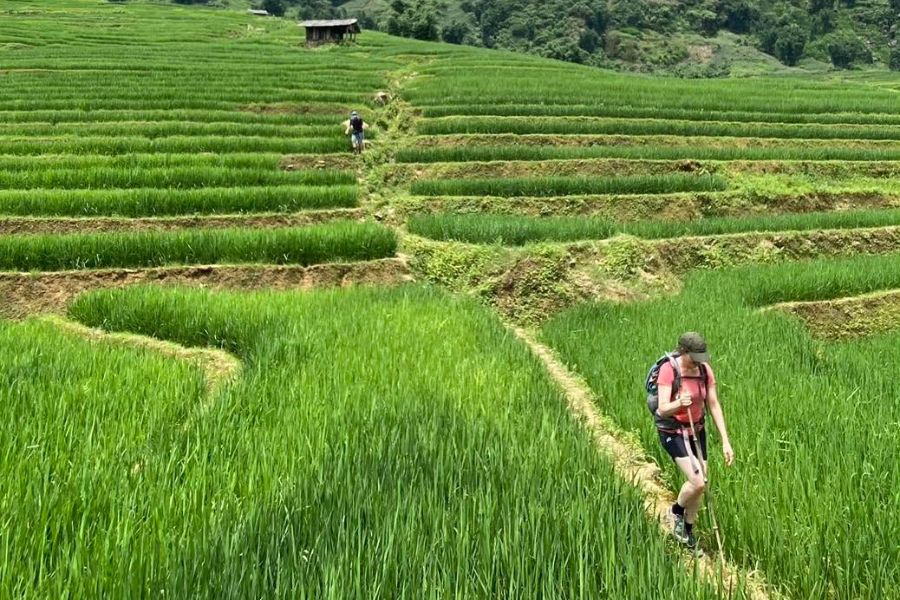 trekking through rice paddies in sapa